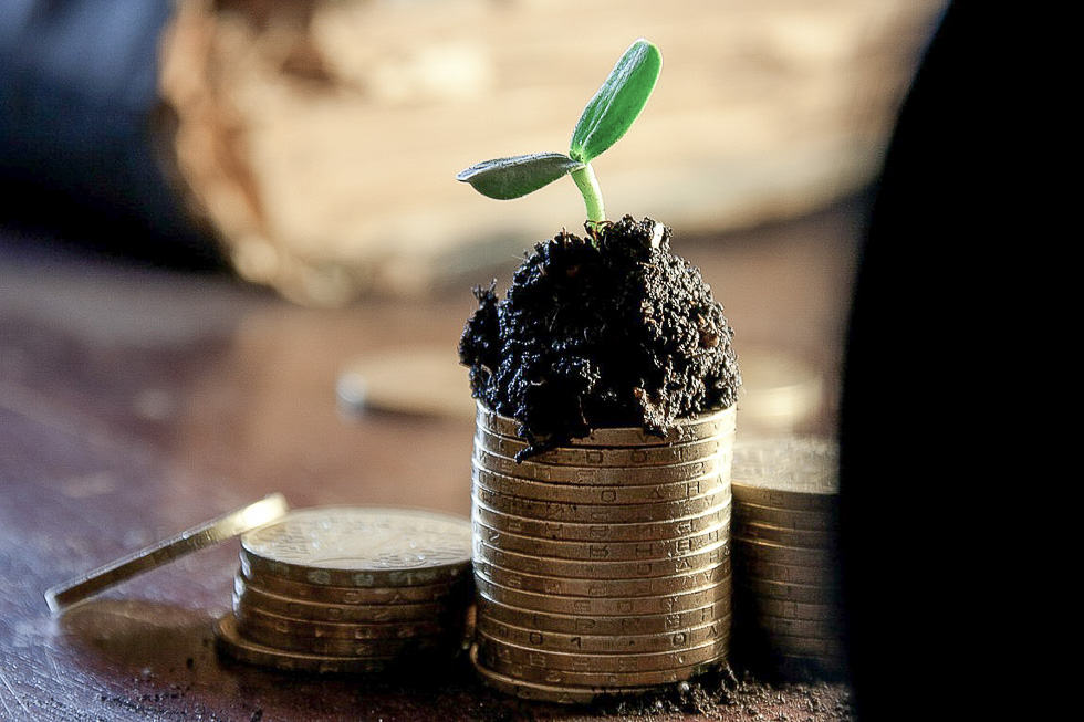 Symbolbild: Finanzieller Wachstum mit einem Online-Shop