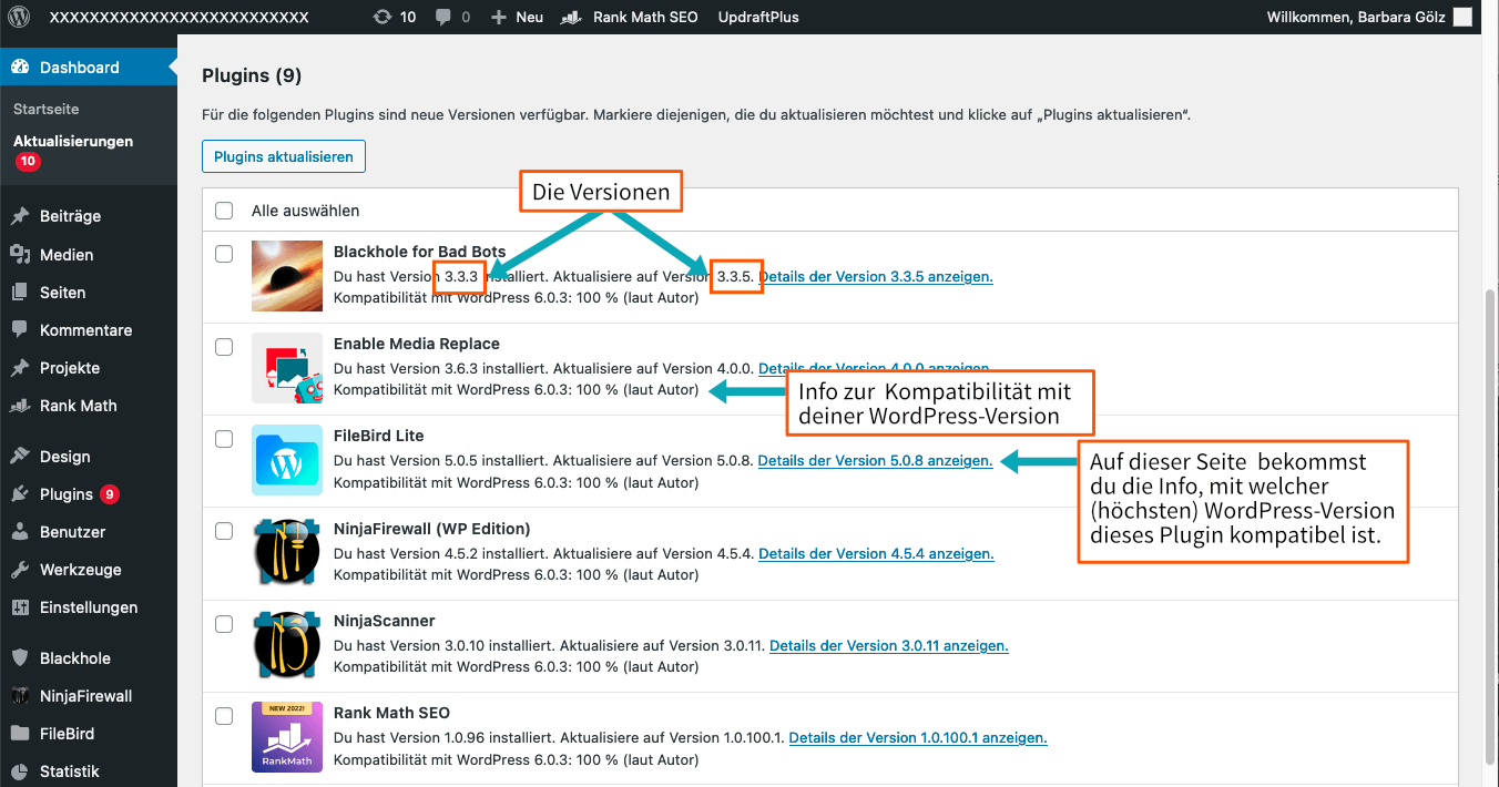 Screenshot der Übersicht der Aktualisierungen in WordPress für Plugins