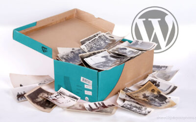 WordPress Grundlagen: Die Mediathek